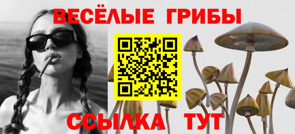 Галлюциногенные грибы Cubensis Карачаевск